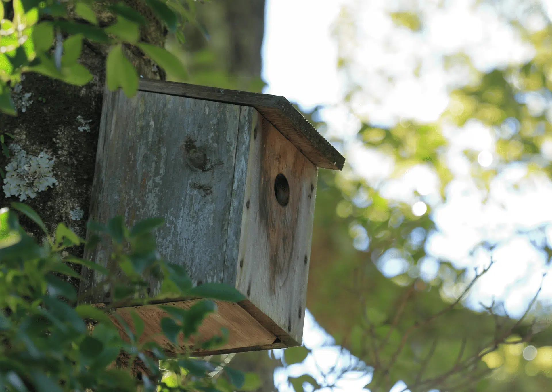 camping avec actions ecoresponsables en auvergne