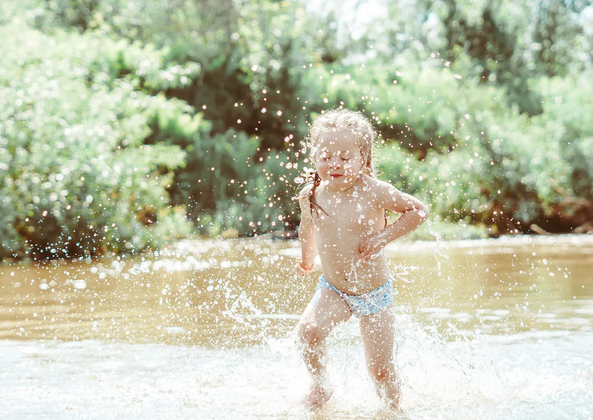 camping de papillons tourisme en auvergne