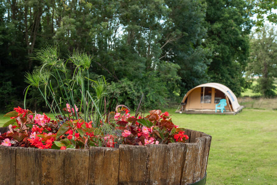 bungalow toile rose auvergne